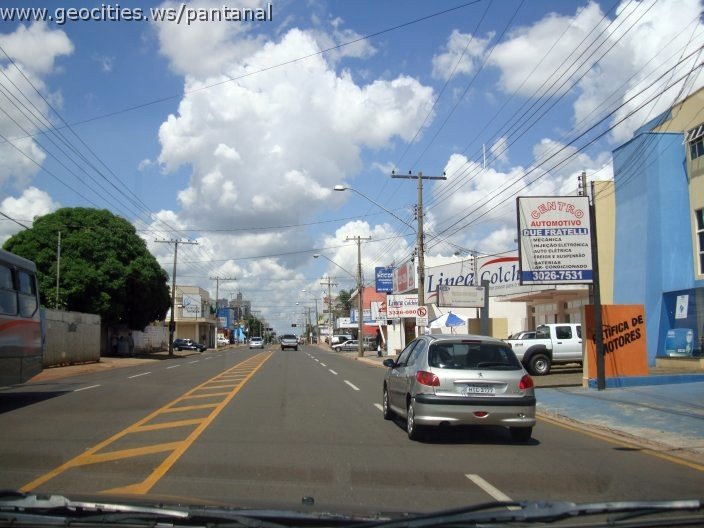 3029_geocities_ws_pantanal.jpg
