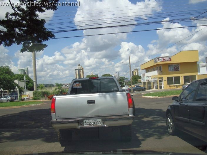3031_geocities_ws_pantanal.jpg
