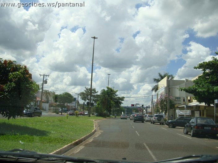 3037_geocities_ws_pantanal.jpg