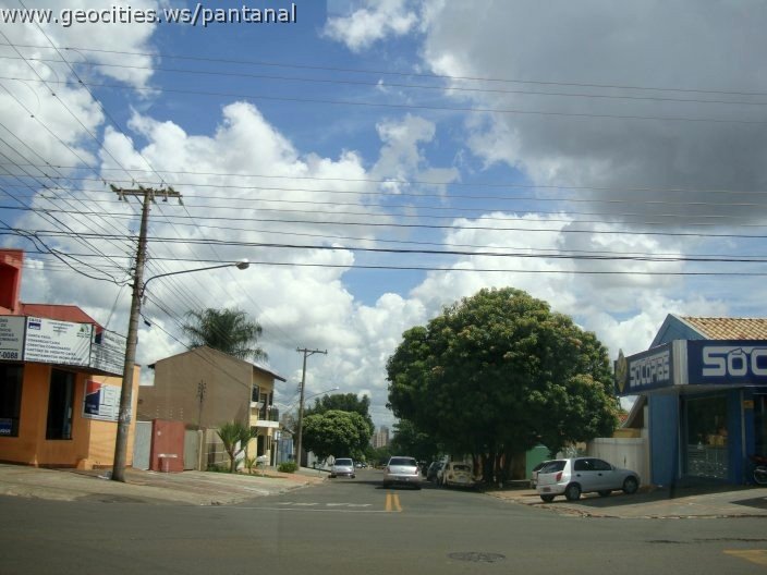 3038_geocities_ws_pantanal.jpg
