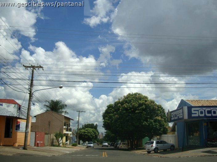3039_geocities_ws_pantanal.jpg