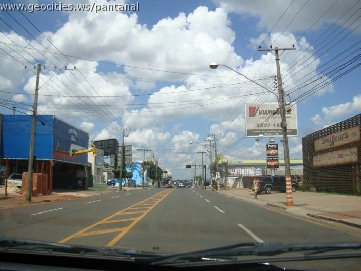 3041_geocities_ws_pantanal.jpg