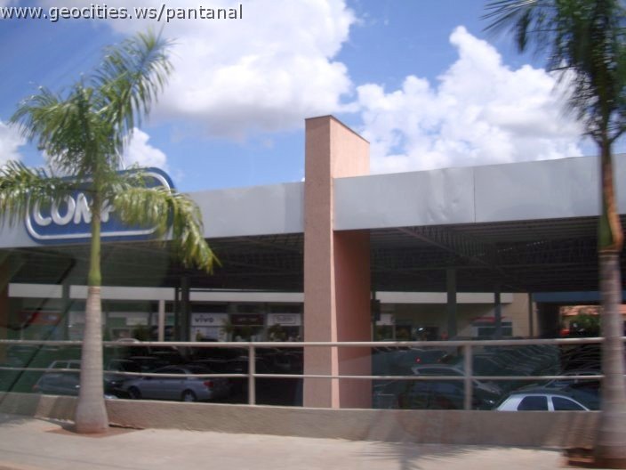 3045_geocities_ws_pantanal.jpg