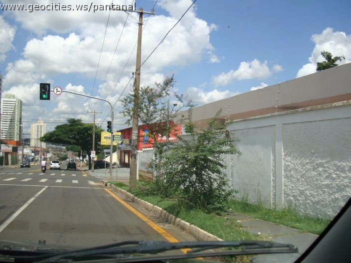 3050_geocities_ws_pantanal.jpg