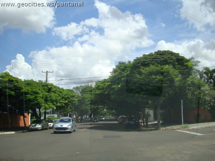 3058_geocities_ws_pantanal.jpg
