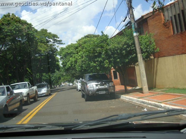 3063_geocities_ws_pantanal.jpg