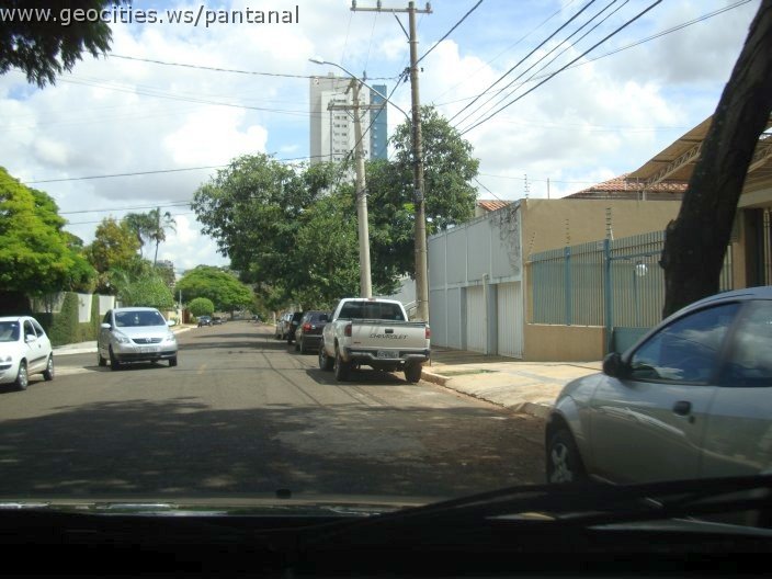 3066_geocities_ws_pantanal.jpg
