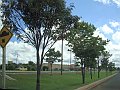 2987_geocities_ws_pantanal