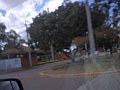 2991_geocities_ws_pantanal