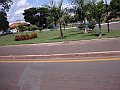 3023_geocities_ws_pantanal