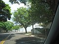 3064_geocities_ws_pantanal