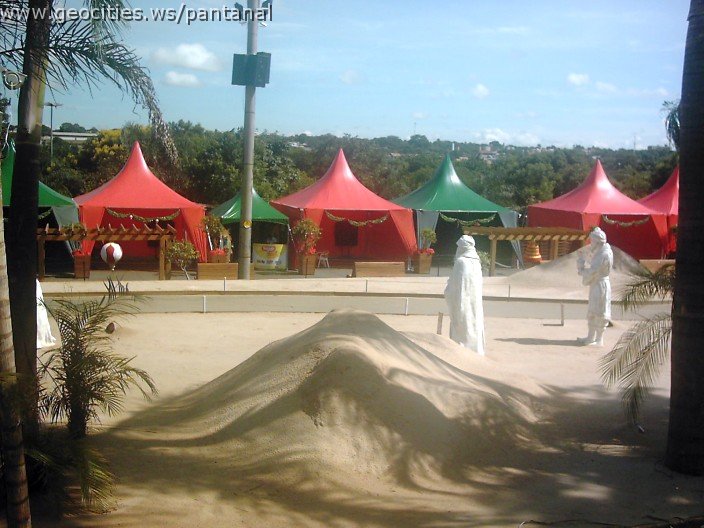 3091_geocities_ws_pantanal.jpg