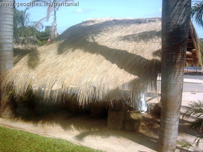 3092_geocities_ws_pantanal.jpg