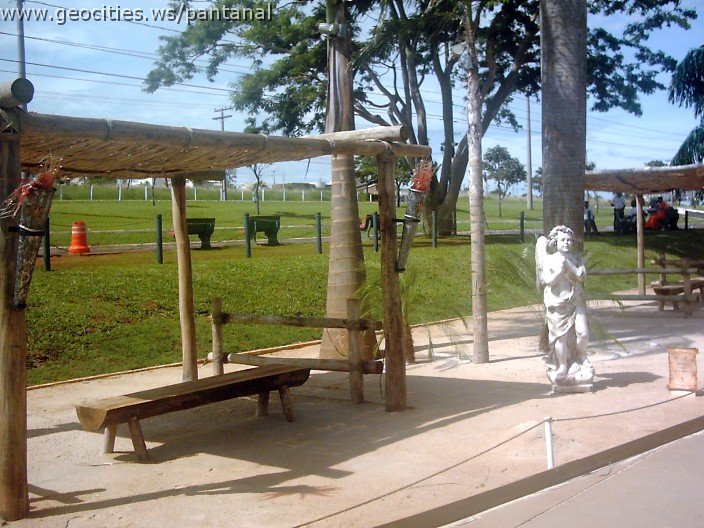 3106_geocities_ws_pantanal.jpg