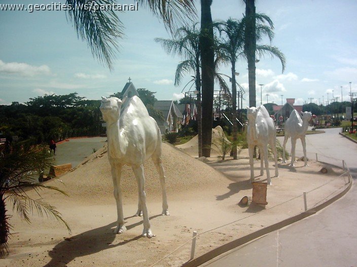 3109_geocities_ws_pantanal.jpg