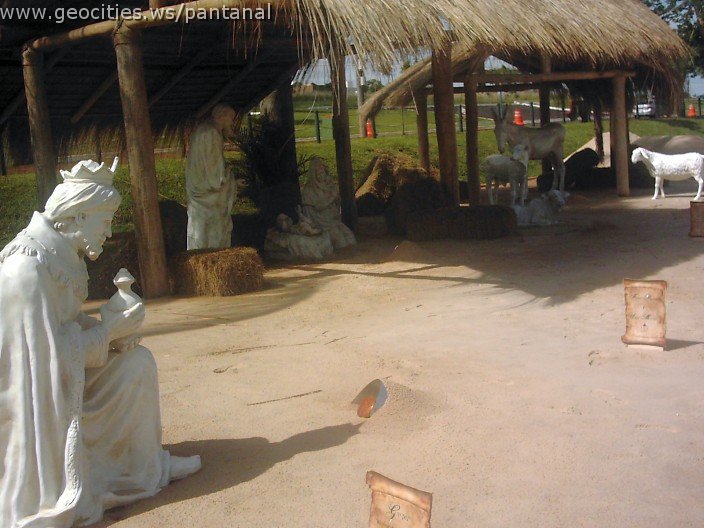 3111_geocities_ws_pantanal.jpg