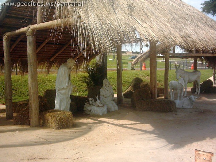 3112_geocities_ws_pantanal.jpg