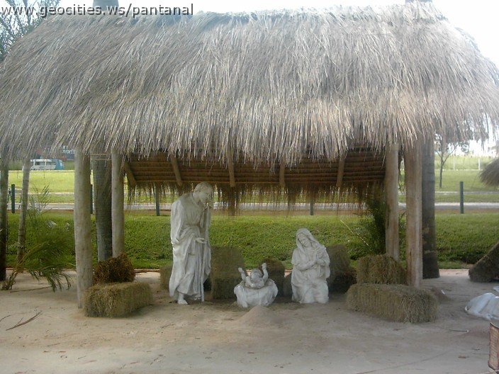 3115_geocities_ws_pantanal.jpg