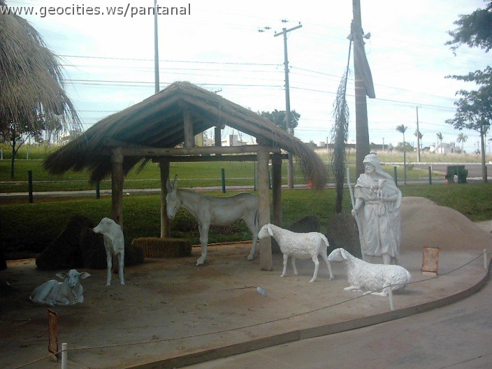 3116_geocities_ws_pantanal.jpg