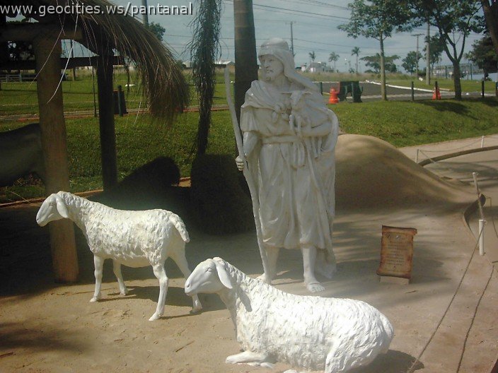 3118_geocities_ws_pantanal.jpg