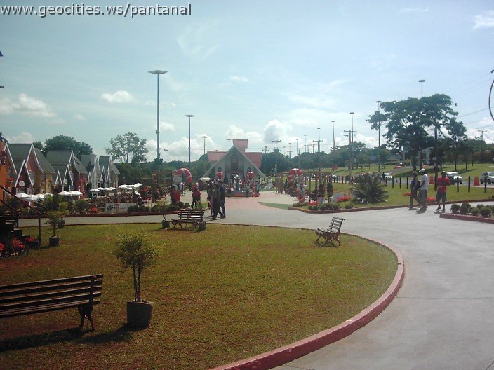 3122_geocities_ws_pantanal.jpg