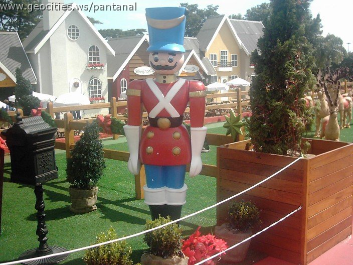 3144_geocities_ws_pantanal.jpg