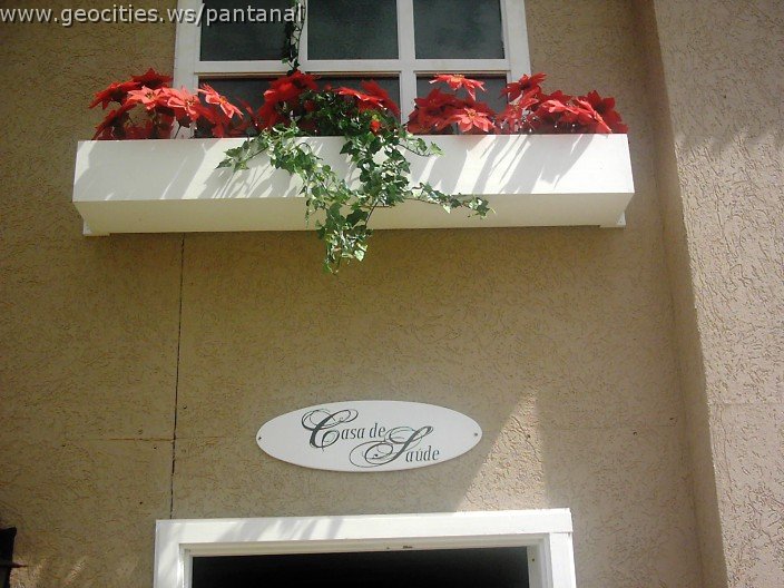 3175_geocities_ws_pantanal.jpg