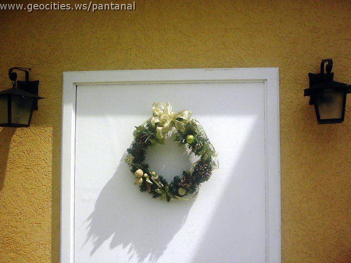 3176_geocities_ws_pantanal.jpg