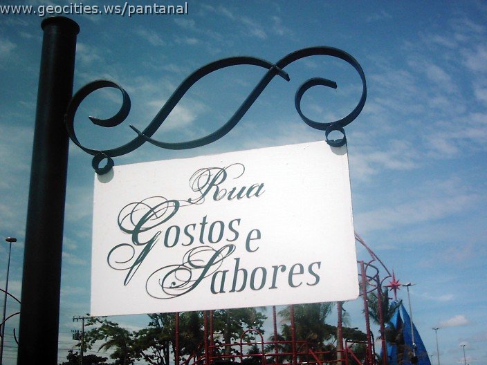 3213_geocities_ws_pantanal.jpg