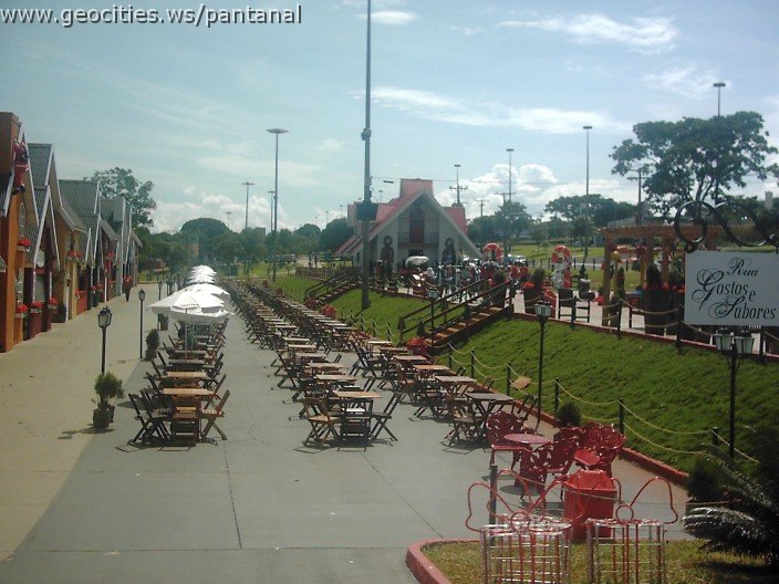 3218_geocities_ws_pantanal.jpg