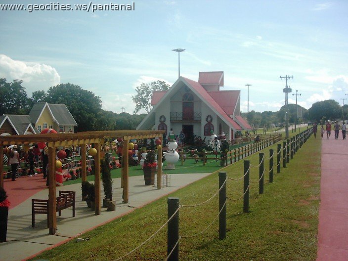 3227_geocities_ws_pantanal.jpg