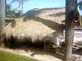 3092_geocities_ws_pantanal
