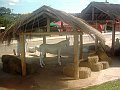 3094_geocities_ws_pantanal