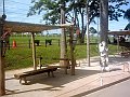 3106_geocities_ws_pantanal
