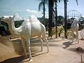 3108_geocities_ws_pantanal