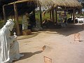 3111_geocities_ws_pantanal