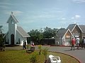 3123_geocities_ws_pantanal
