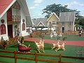 3238_geocities_ws_pantanal