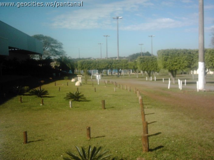 3330_geocities_ws_pantanal.jpg