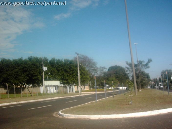 3331_geocities_ws_pantanal.jpg
