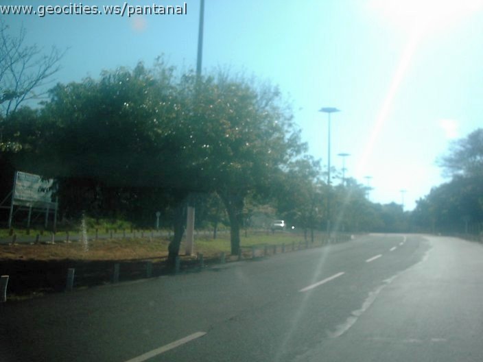 3337_geocities_ws_pantanal.jpg