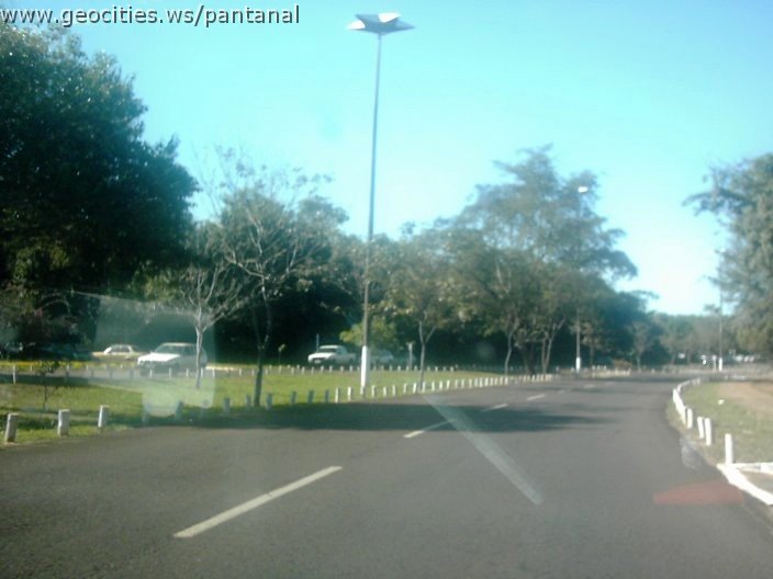 3340_geocities_ws_pantanal.jpg