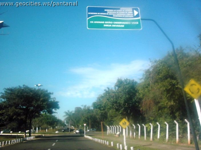 3342_geocities_ws_pantanal.jpg