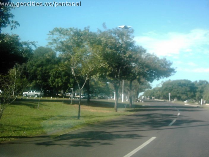 3344_geocities_ws_pantanal.jpg