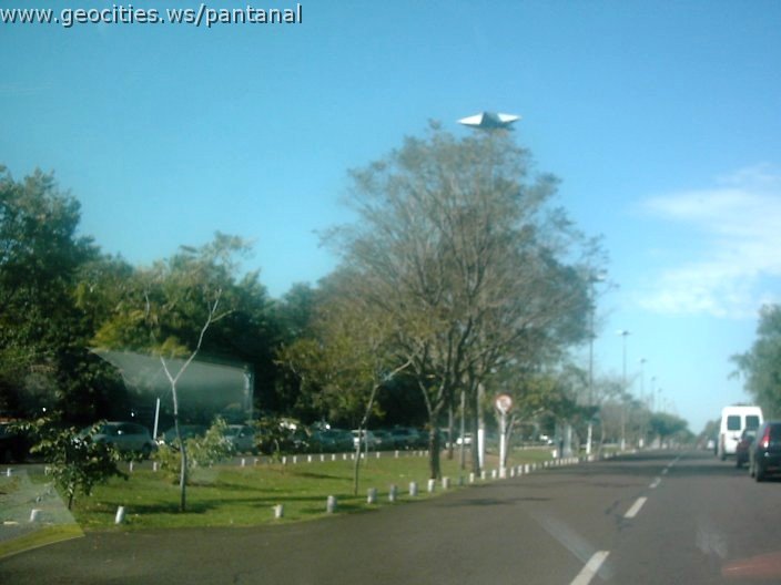 3347_geocities_ws_pantanal.jpg