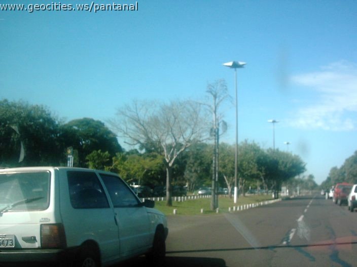 3348_geocities_ws_pantanal.jpg