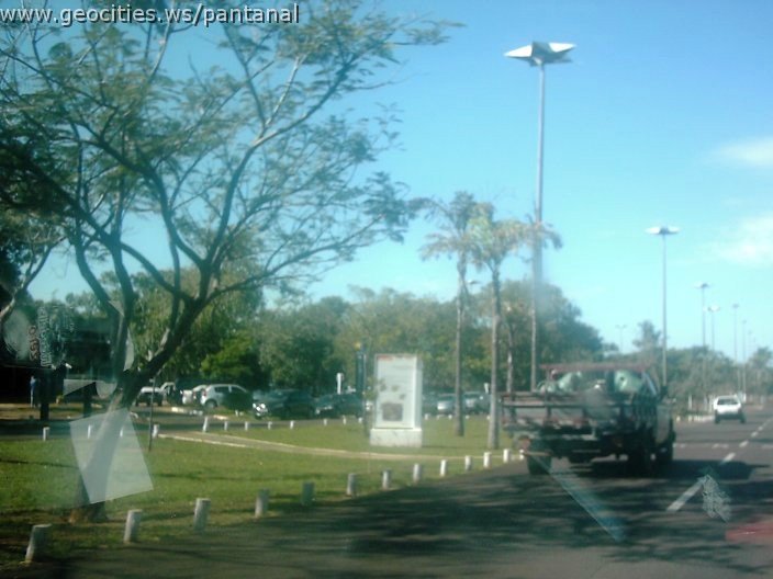 3349_geocities_ws_pantanal.jpg