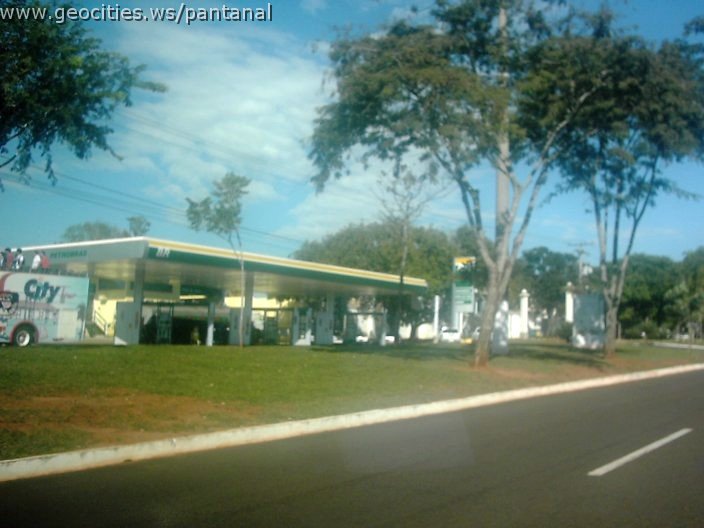 3353_geocities_ws_pantanal.jpg