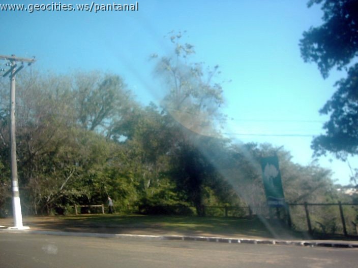 3356_geocities_ws_pantanal.jpg