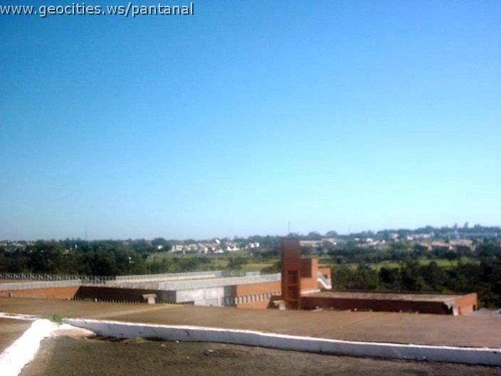 3359_geocities_ws_pantanal.jpg